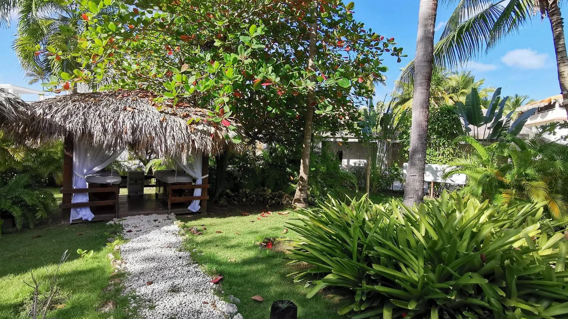 Hotel Caribbean Oasis - Villas And Apartments - Playa Los Corales Punta Cana