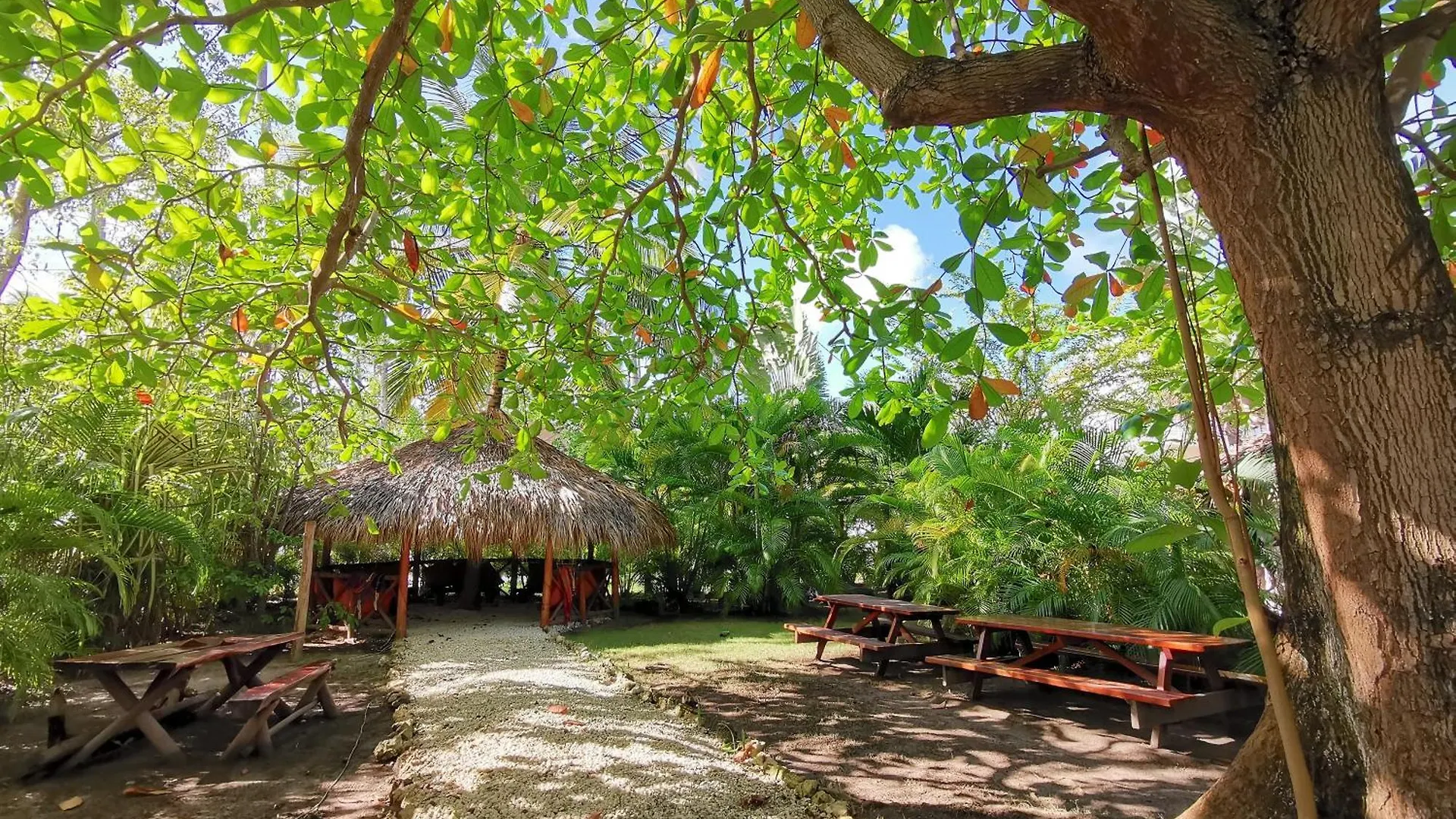 Caribbean Oasis - Villas And Apartments - Playa Los Corales Punta Cana 5*,