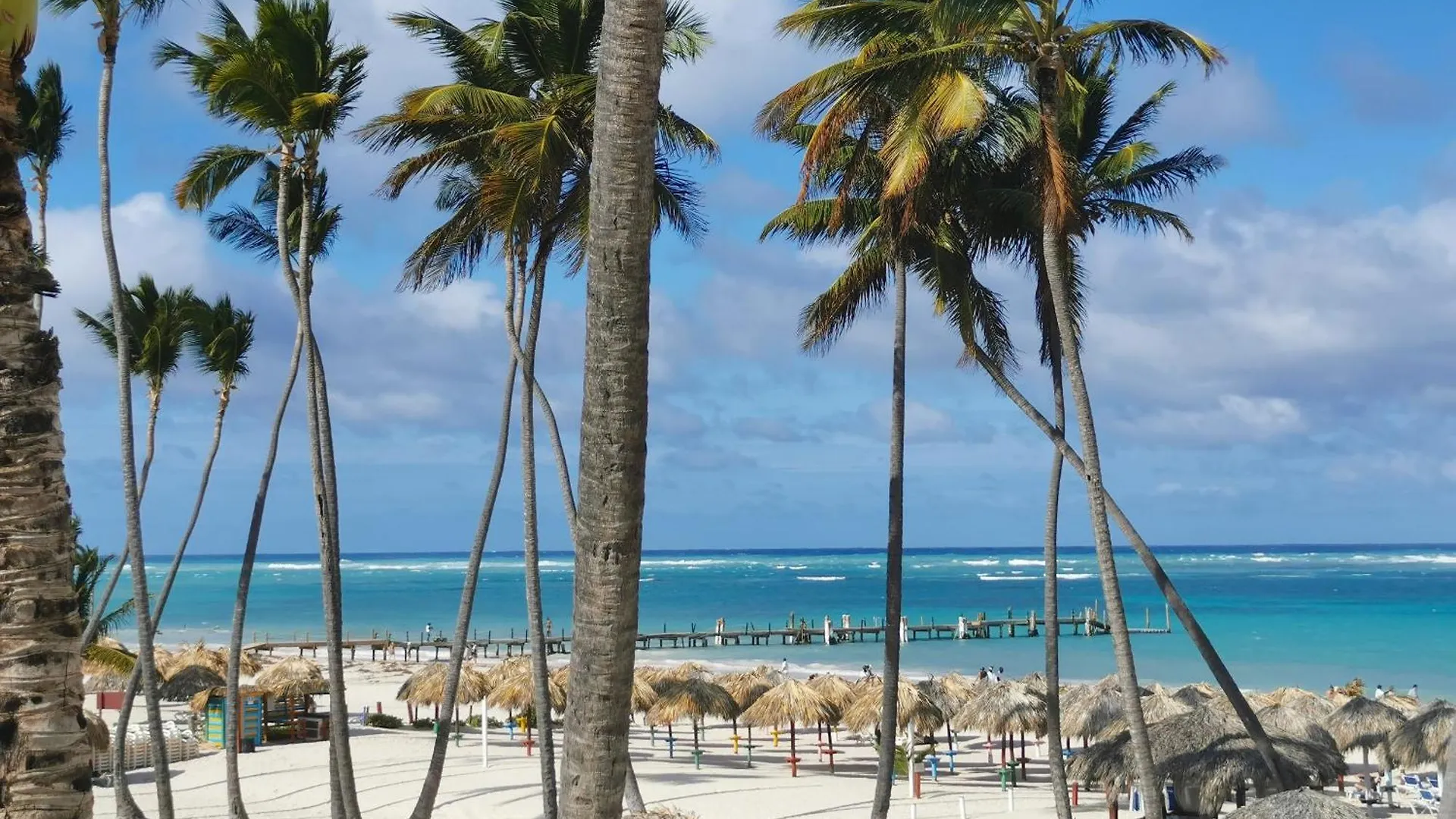 Caribbean Oasis - Villas And Apartments - Playa Los Corales Punta Cana
